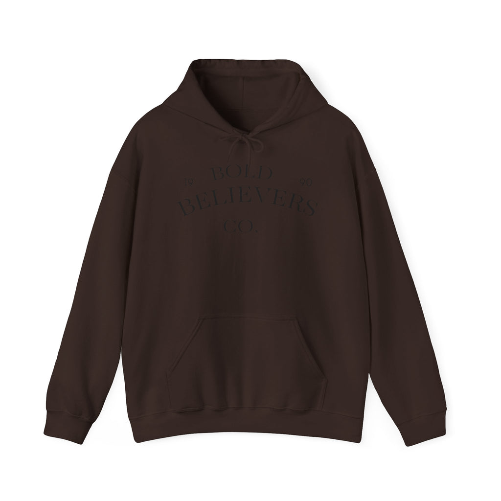 Lion Portrait Hoodie — Majestic Realistic Lion Graphic Sweatshirt