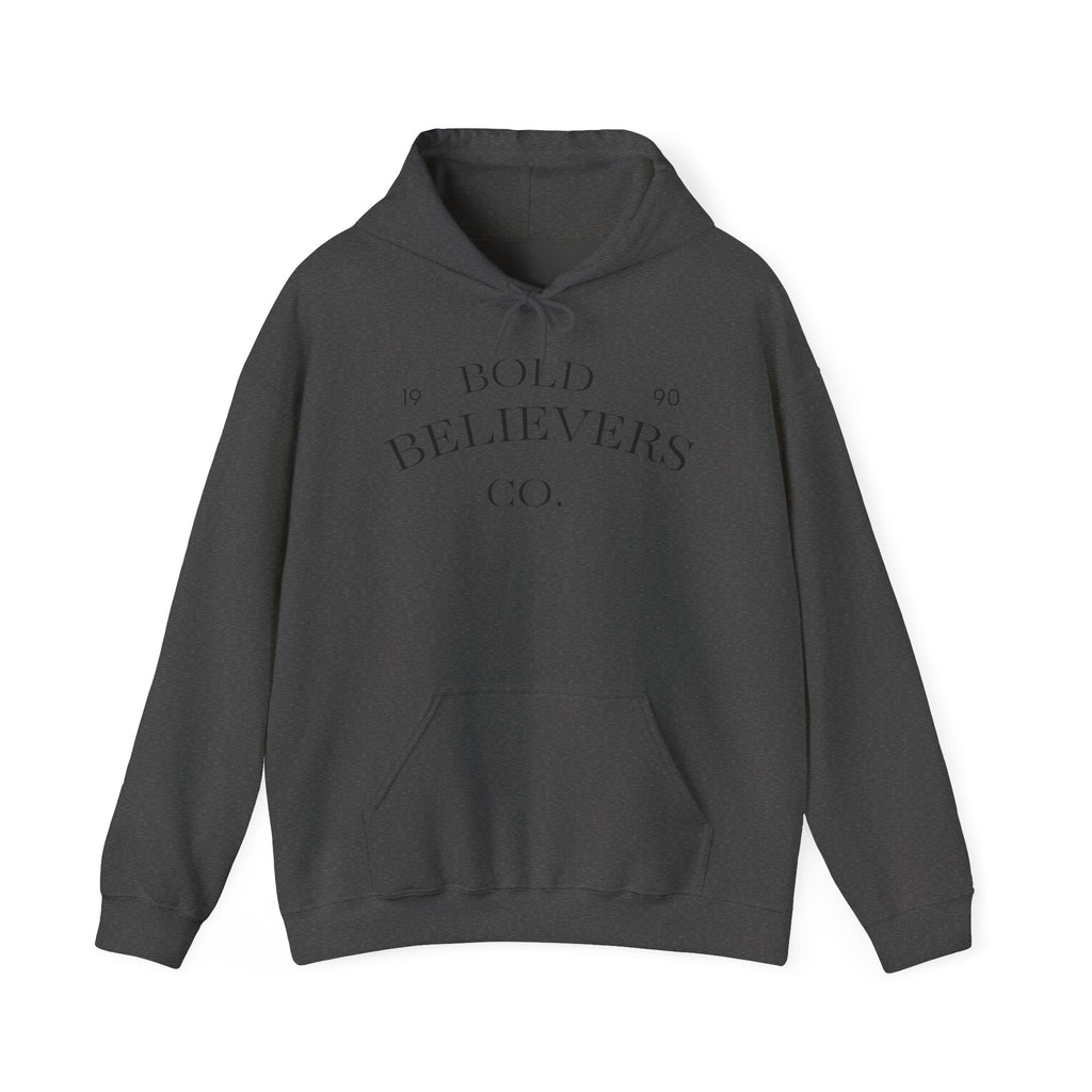 Lion Portrait Hoodie — Majestic Realistic Lion Graphic Sweatshirt